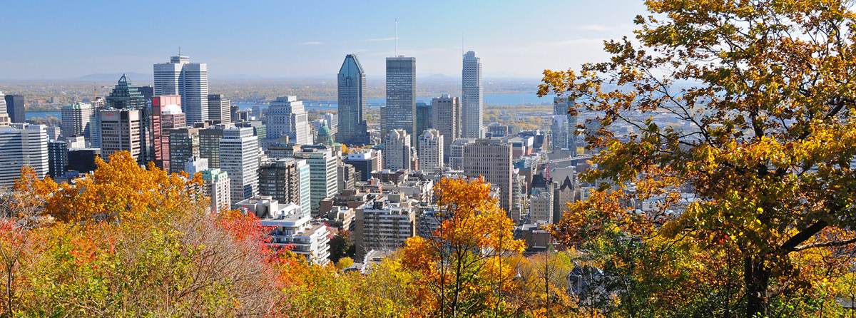 Air Transat introduces non-stop flights between Montreal and New ...